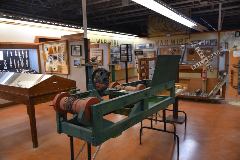 A Collection That Defies Expectations