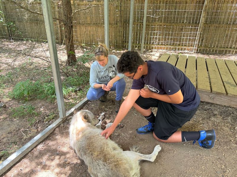 The Rescue Story at the Center