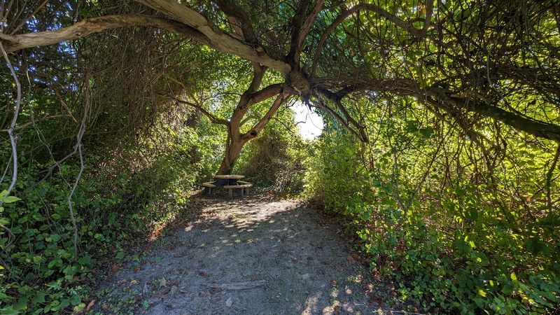 A preserve with personality