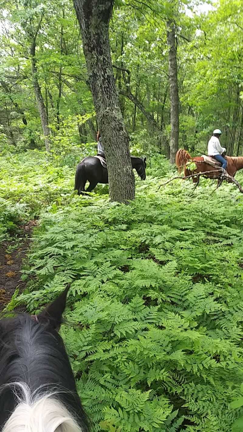 The joy of unplugging here