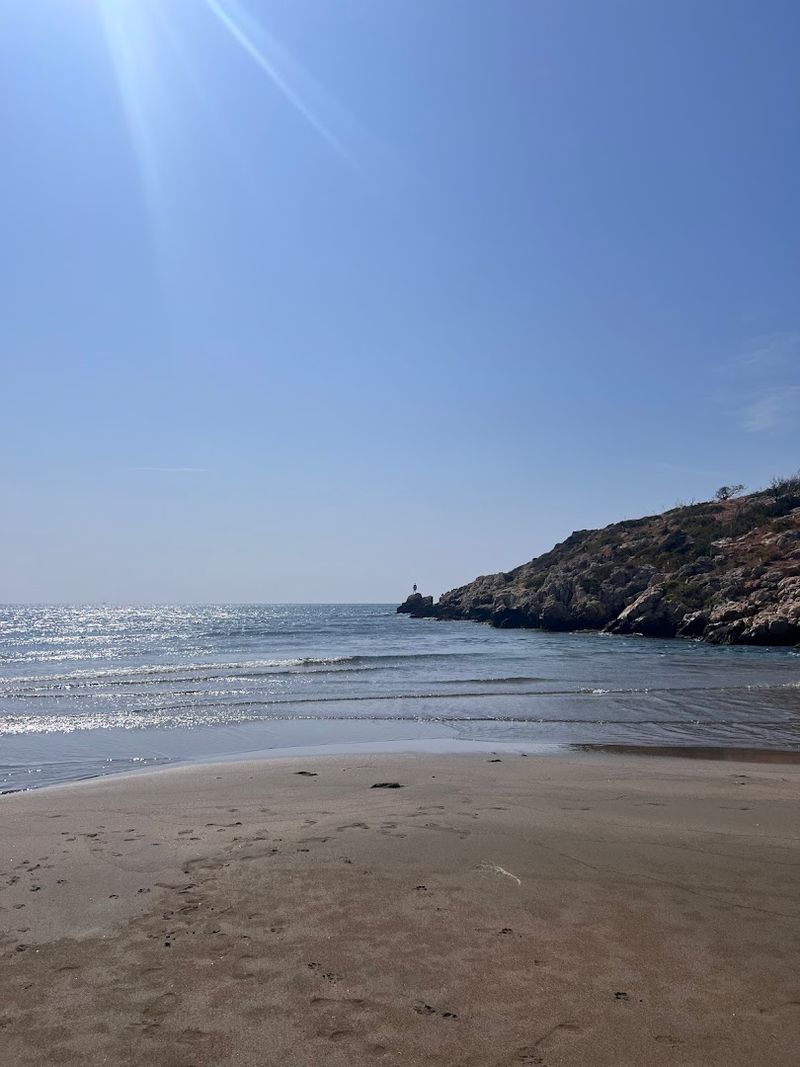 What to Know Before You Plan a Visit