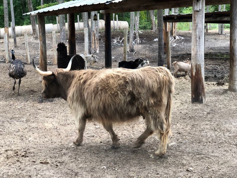 The Kind of Michigan Stop You Remember