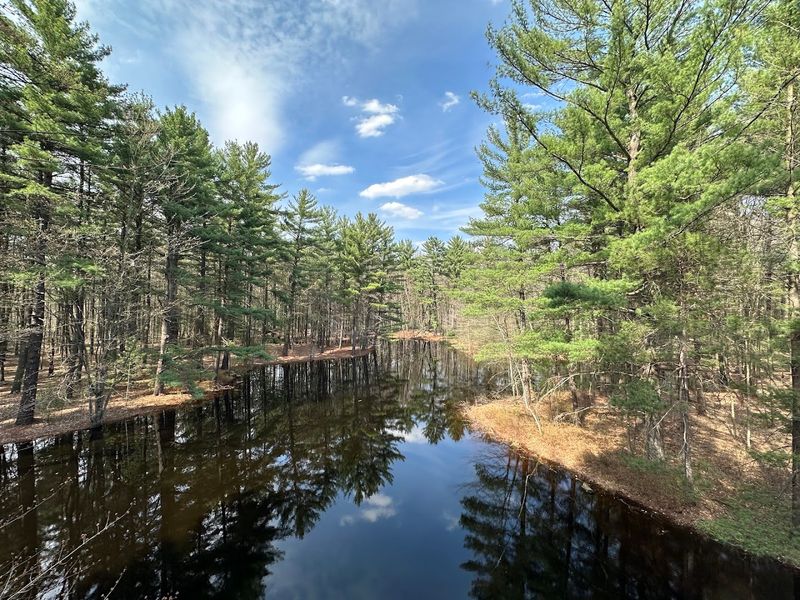 A worthy Michigan outing