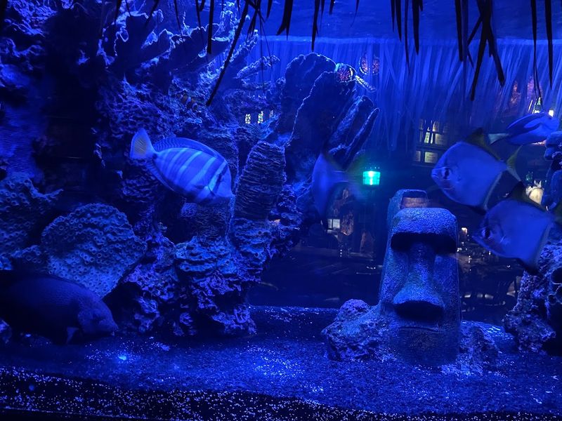 The upstairs surprise