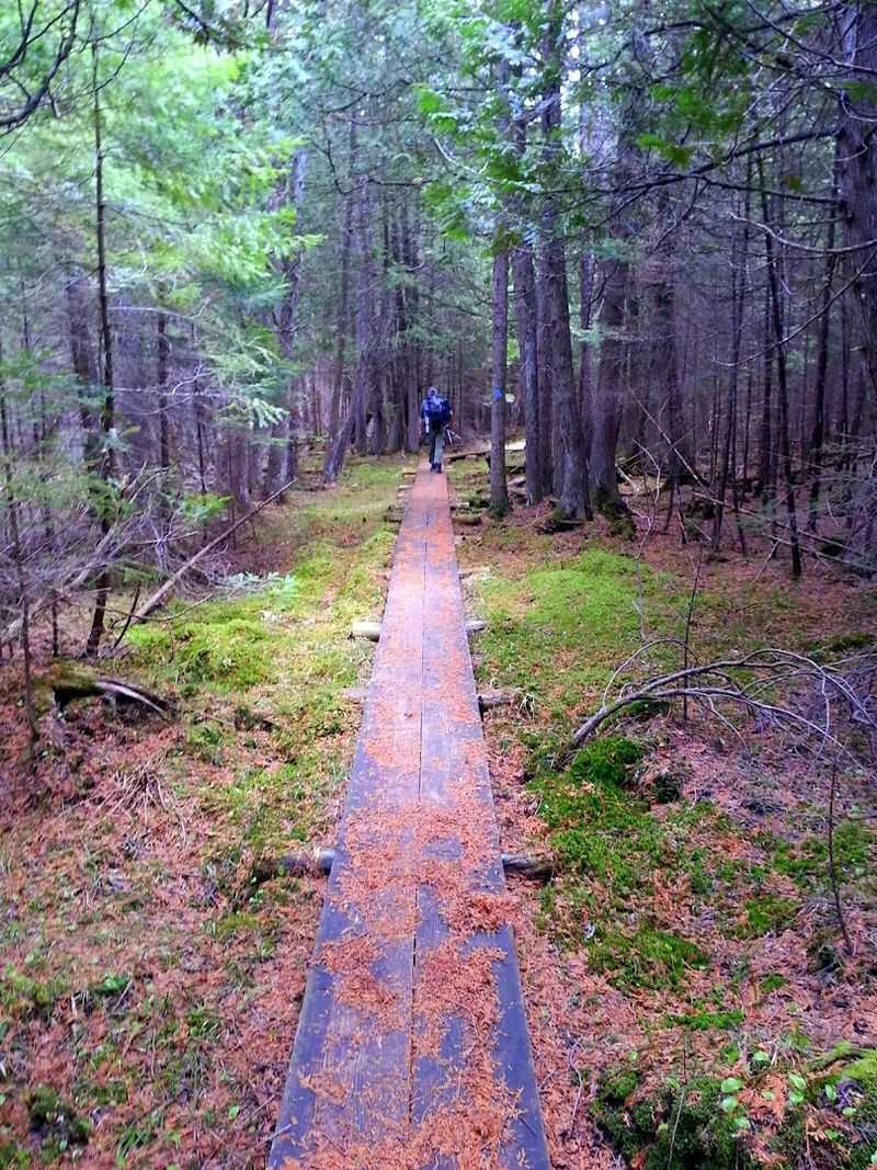 The Shingle Mill Pathway: A Trail Worth Talking About