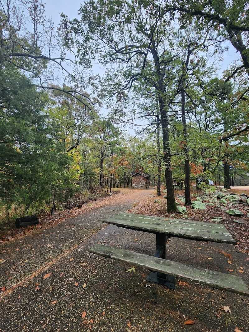 Picnicking in the Shade