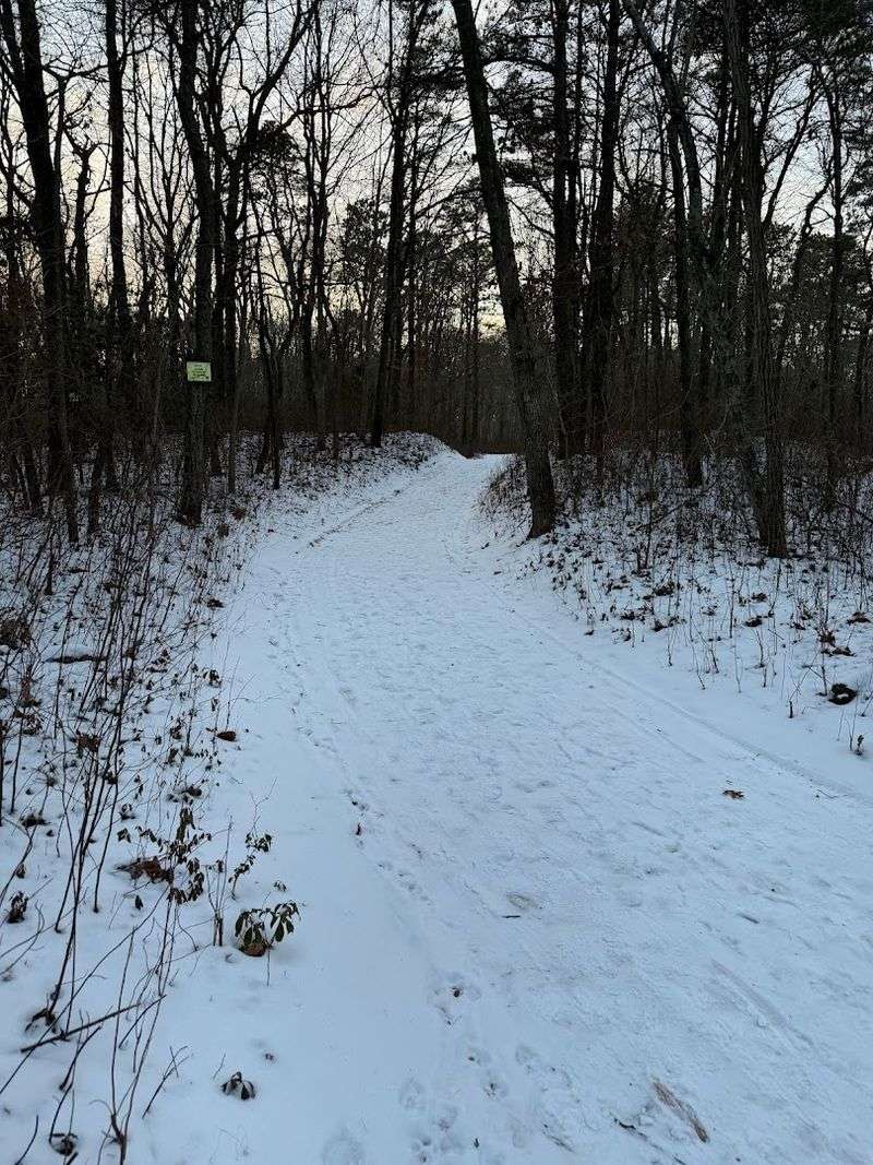 Seasonal Changes: How the Park Shifts Through the Year