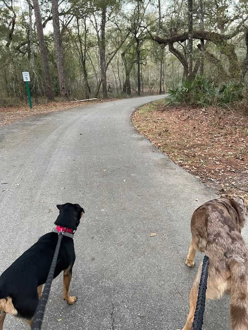 The Paved Path From Campground to Spring