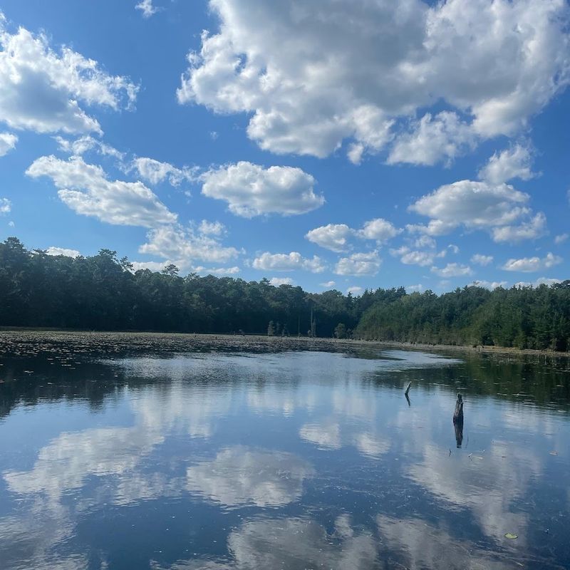 How the Park Changes With Each Season