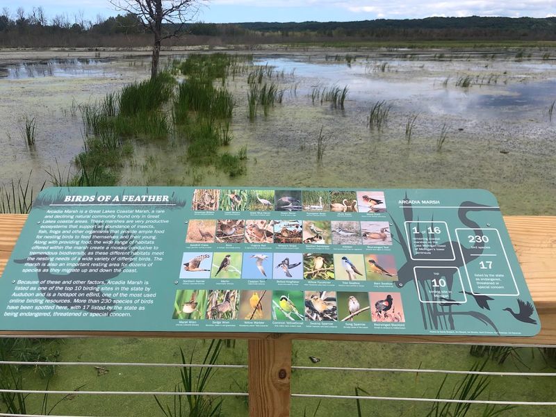 The Interpretive Signage That Actually Teaches You Something