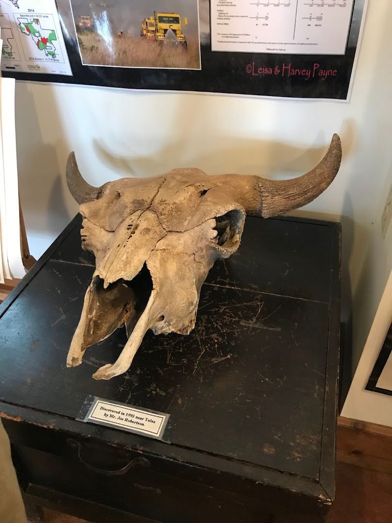 The Visitor Center Is Worth Every Minute