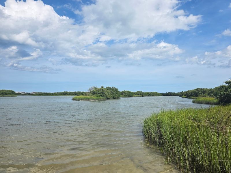 Kayaking and Canoeing: Exploring the Calm Waters of Salt Run