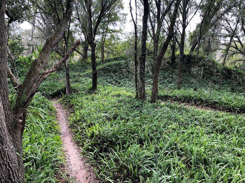 The Old Phosphate Mines: History Hiding in Plain Sight