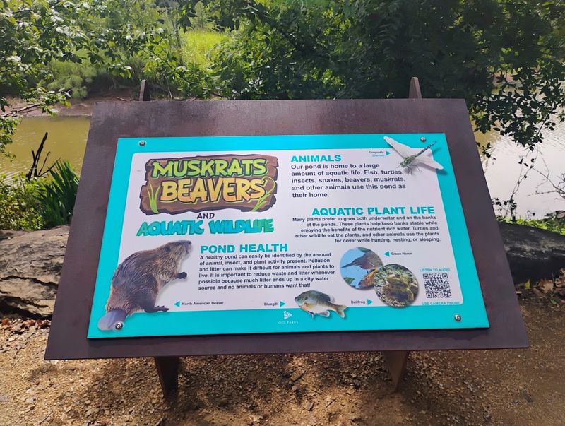 The Nature Center Building and Its Live Animal Exhibits