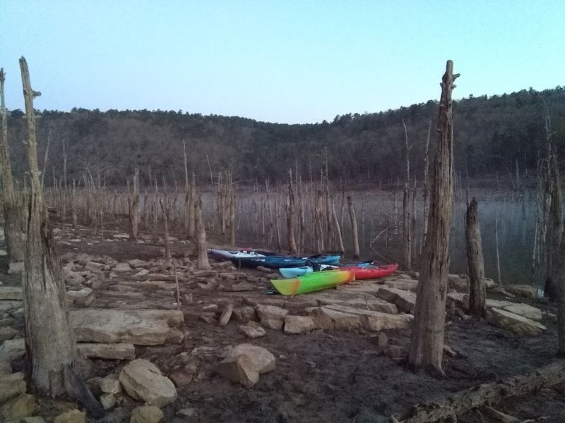 Kayaking the Flooded Forest