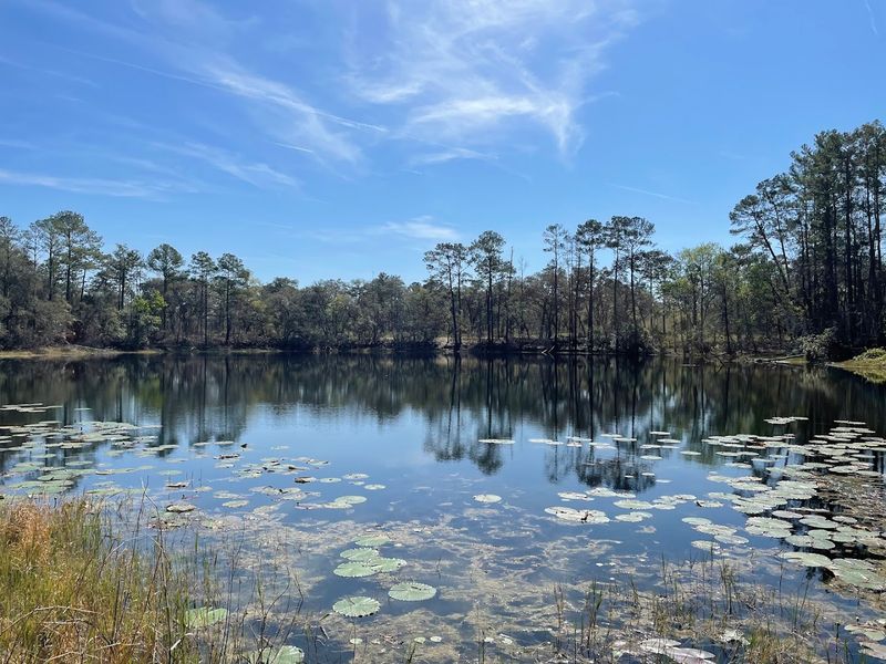 Dunns Creek State Park: A Short Drive to Pure Solitude