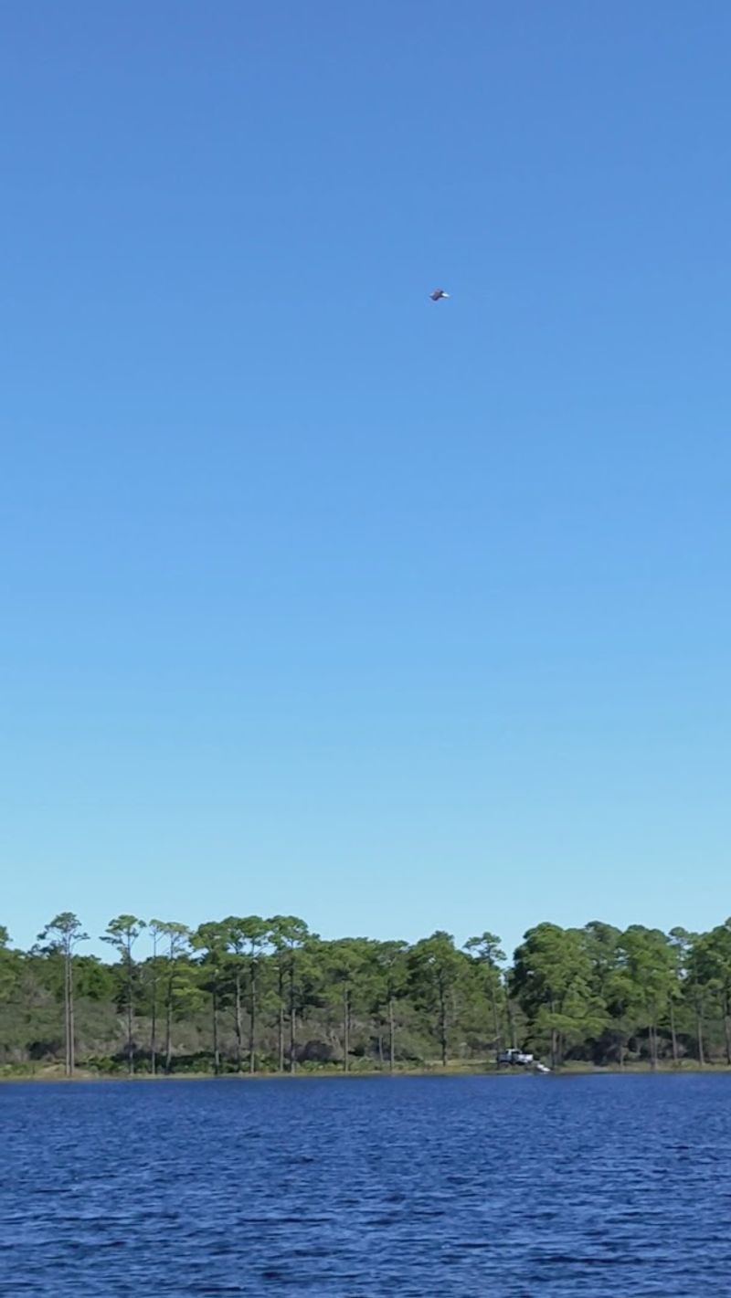 Kayaking and Paddleboarding on Calm Waters