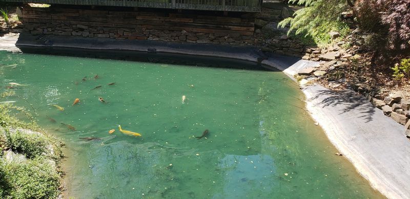 Practical Tips for Making the Most of Your Visit