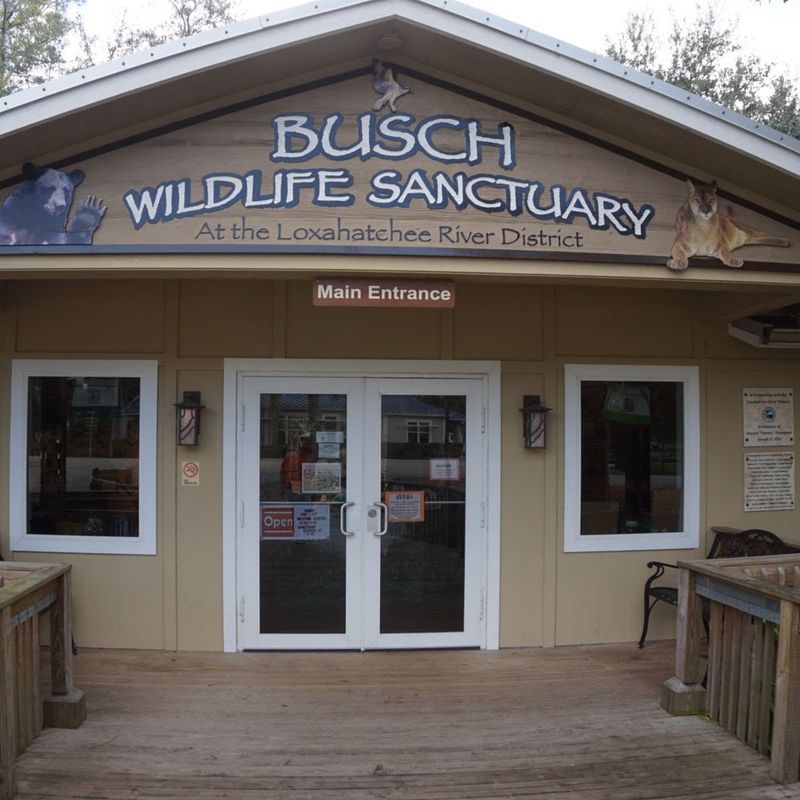 Donation-Based Admission