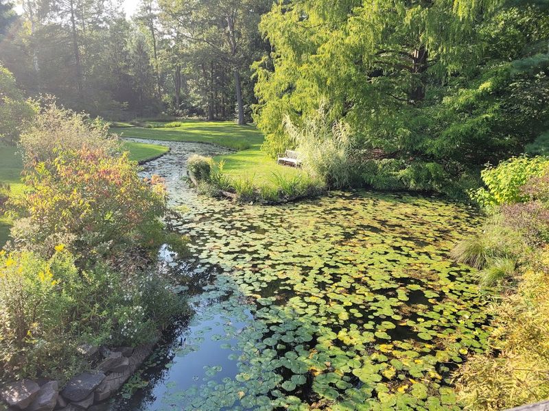 Why Moggy Hollow Deserves More Recognition