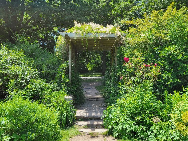 Woodland Trails That Go Beyond the Formal Gardens