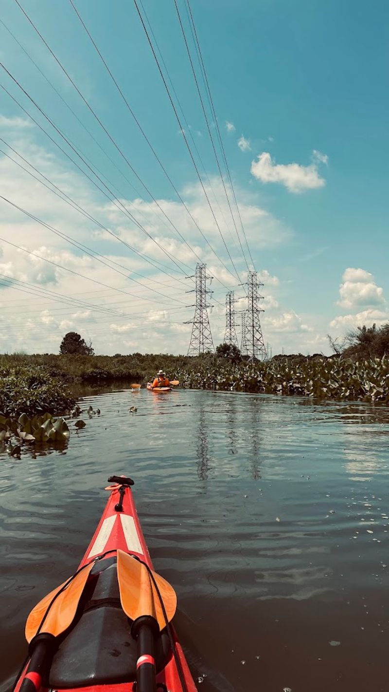 Kayaking the Canal Alongside the Park