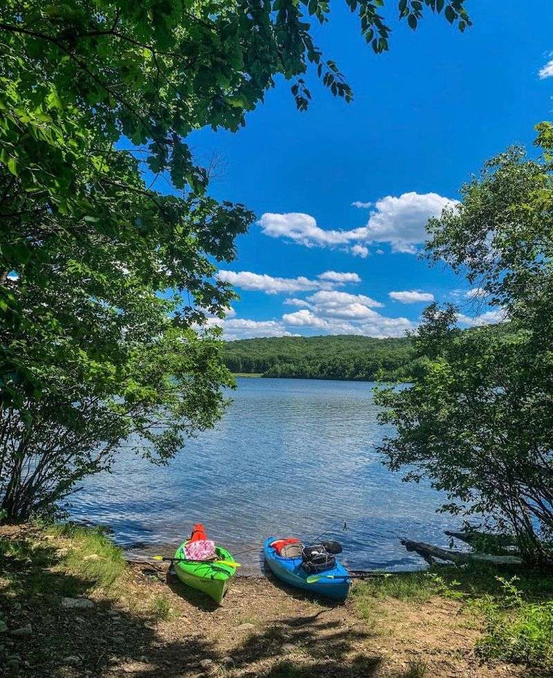 Kayak Rentals and What You Need to Know Before You Launch