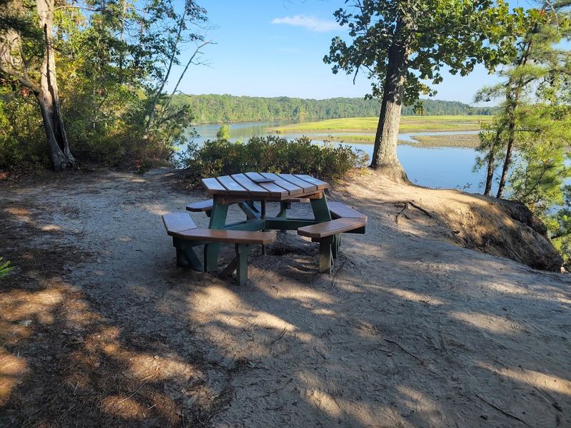 Picnic Tables Placed Where the Views Pay Off