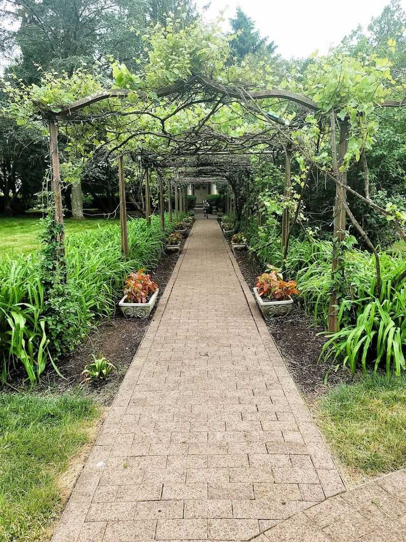 Garden Areas That Add a Different Kind of Beauty