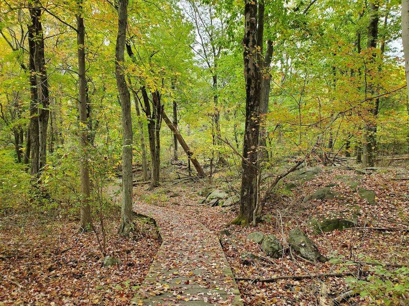 How the Seasons Change the Entire Experience