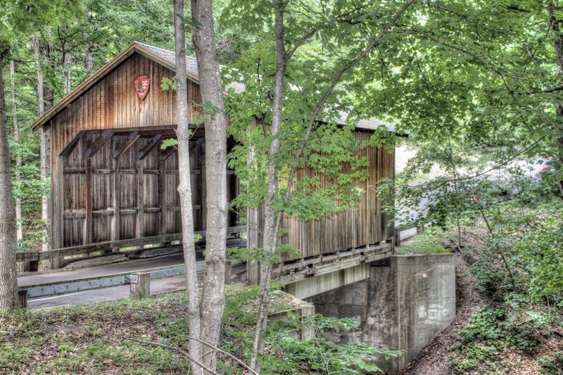The Covered Bridge Stop: A Quiet Moment on the Loop