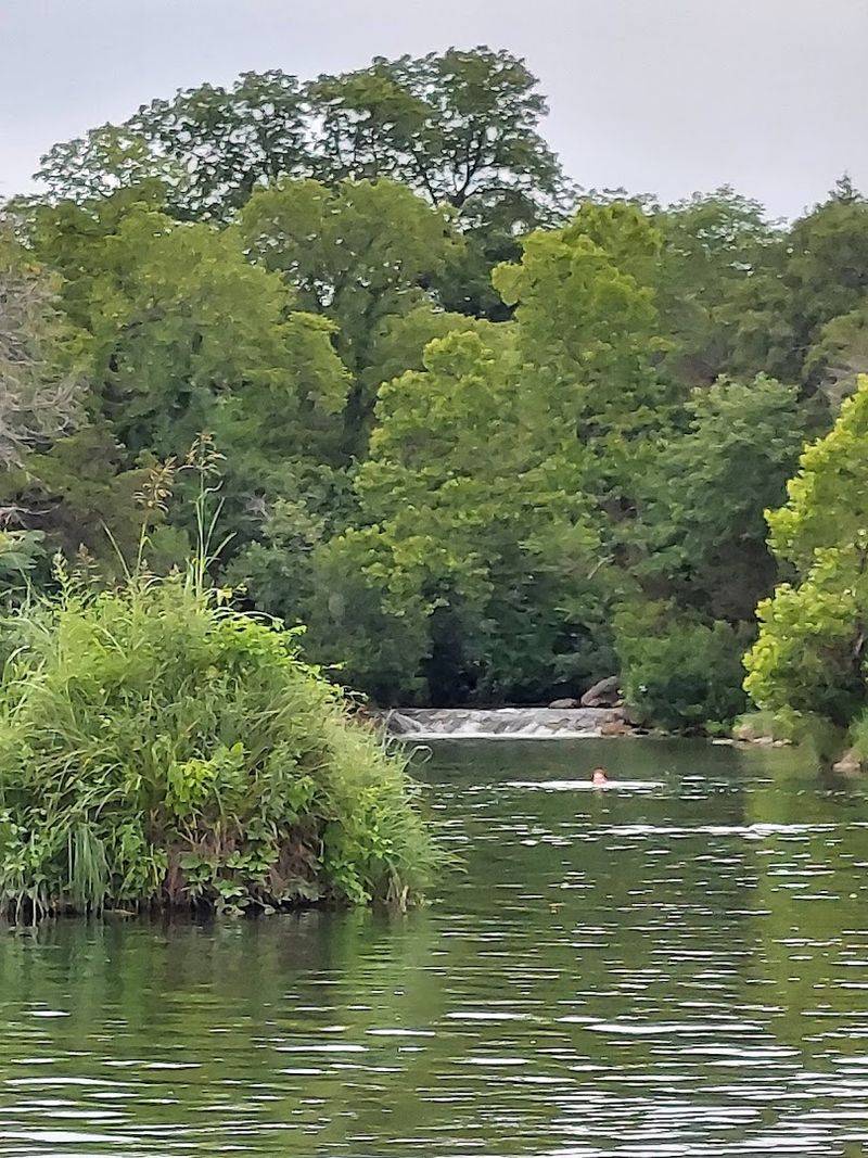 Family Reunions and Group Gatherings