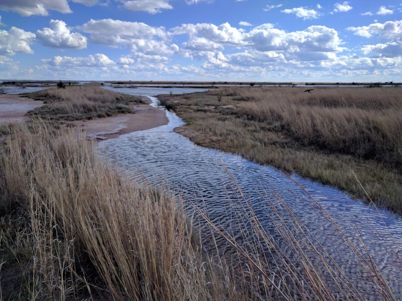 Trails and Auto Tour Route