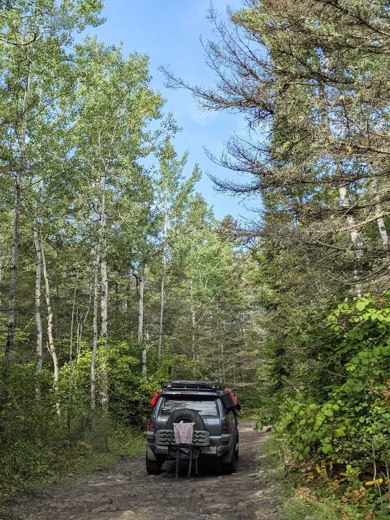 Practical Tips for Planning Your Trip to Drummond