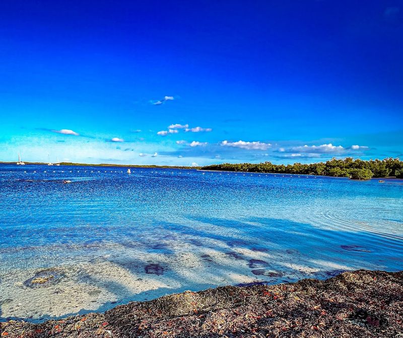 Gear Rentals and What to Bring