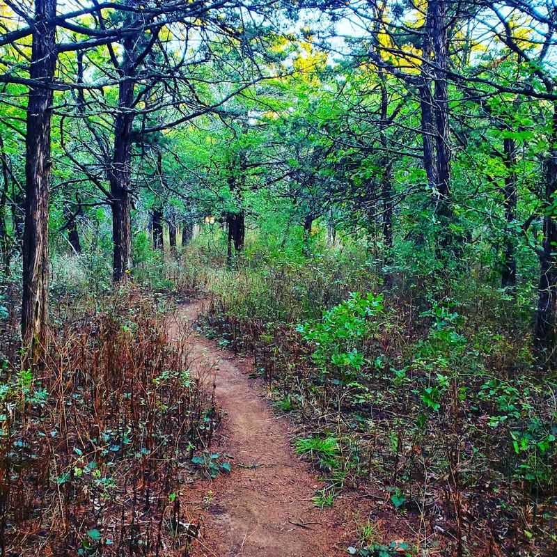 Trails, Terrain, and What to Expect on Foot