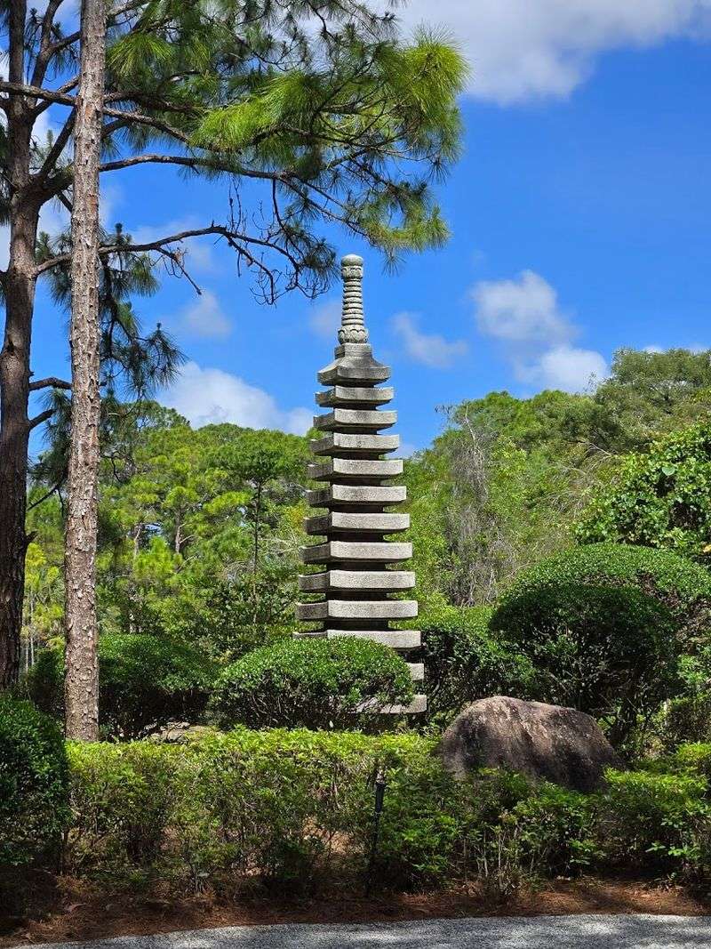 Cultural Events and Tea Ceremonies: More Than Just a Walk