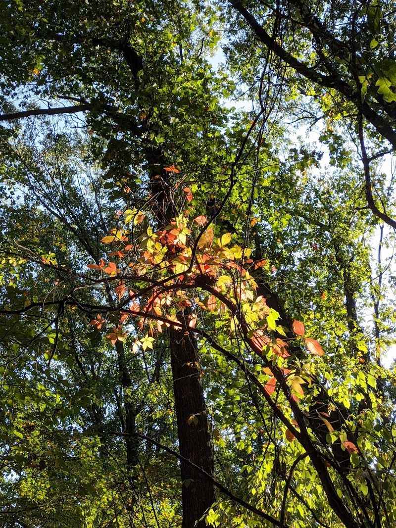 Best Times to Visit and What to Expect Each Season