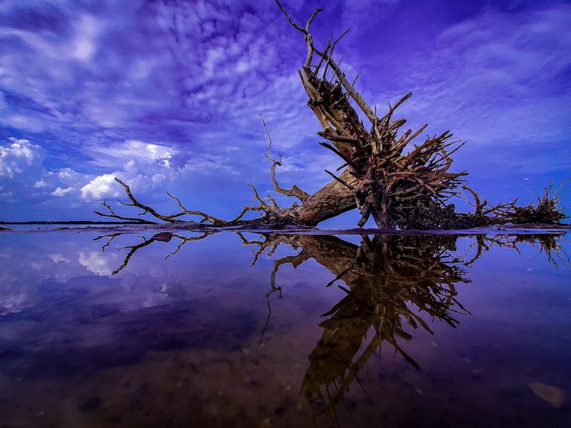 Fishing at the Beach and Nearby Waters
