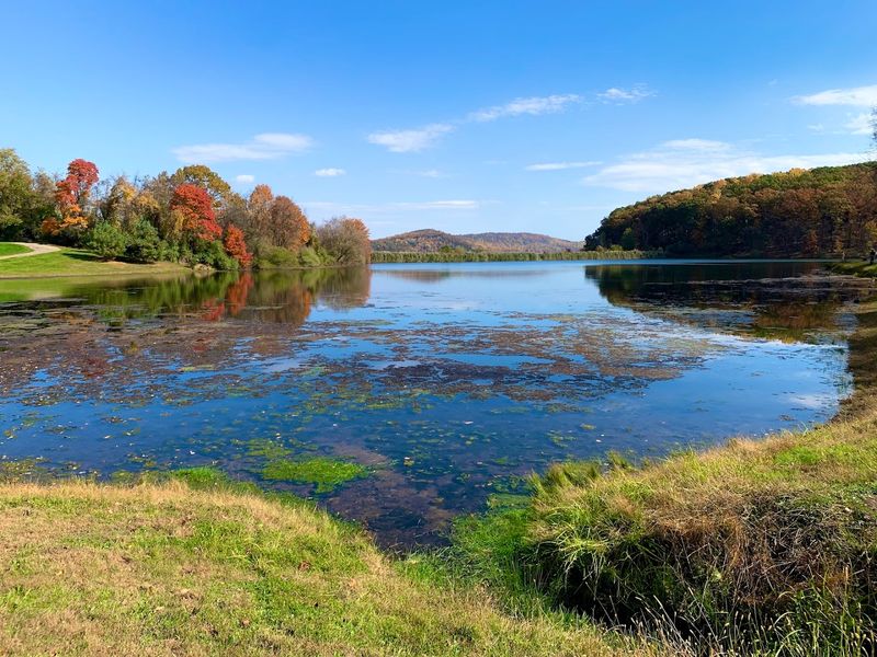 Best Times to Visit and What to Expect