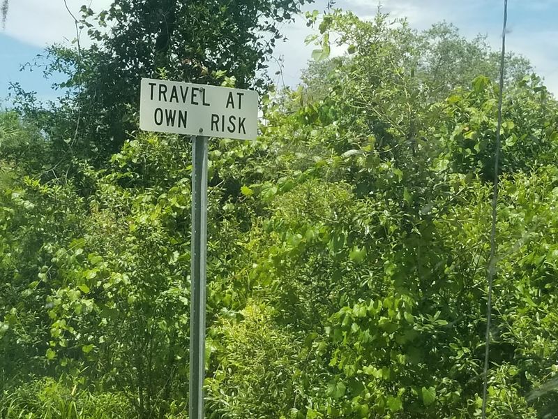 The Mosquito Situation You Need to Know About