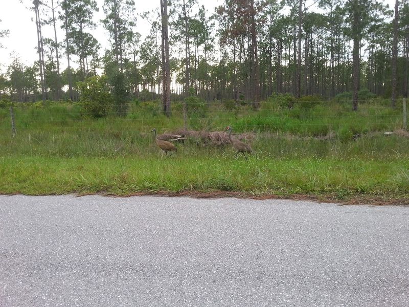 Road Access and Convenience: Surprisingly Well-Connected for a Quiet Community