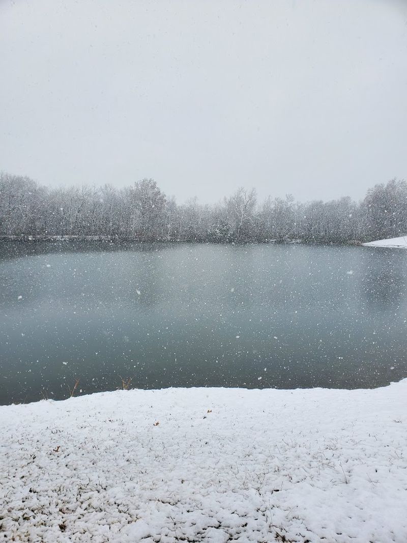 Seasonal Highlights and Year-Round Appeal