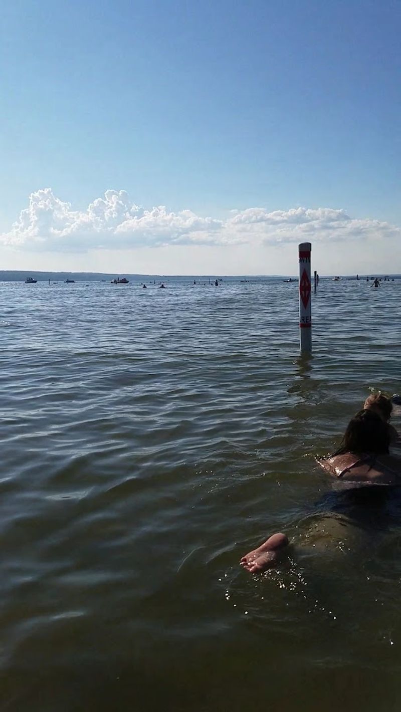 Dog-Friendly Spaces: Because Your Pup Deserves a Vacation Too