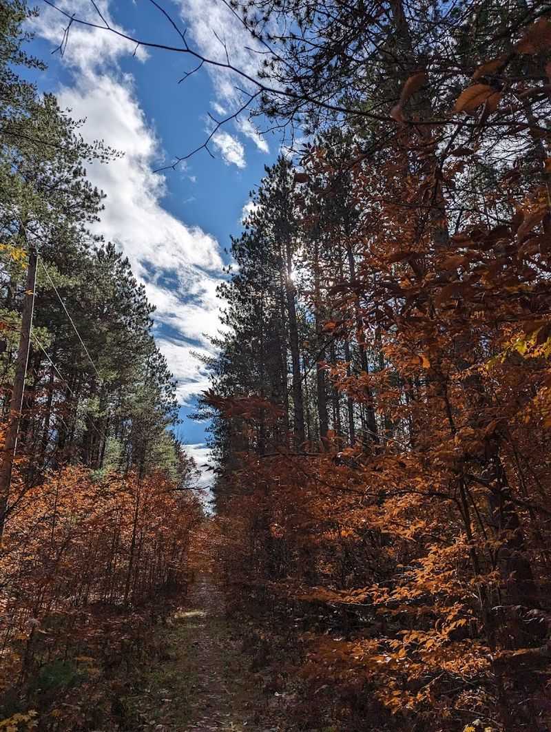 Visiting in Every Season: How the Park Changes Through the Year