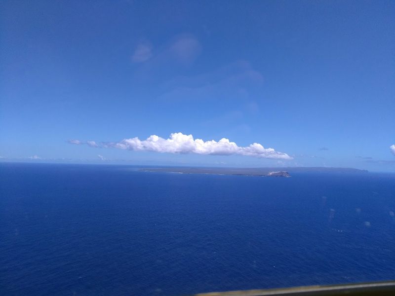 Hunting Expeditions as a Rare Way In