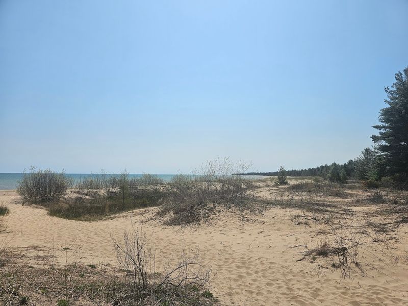 Best Times to Visit and What to Expect Each Season