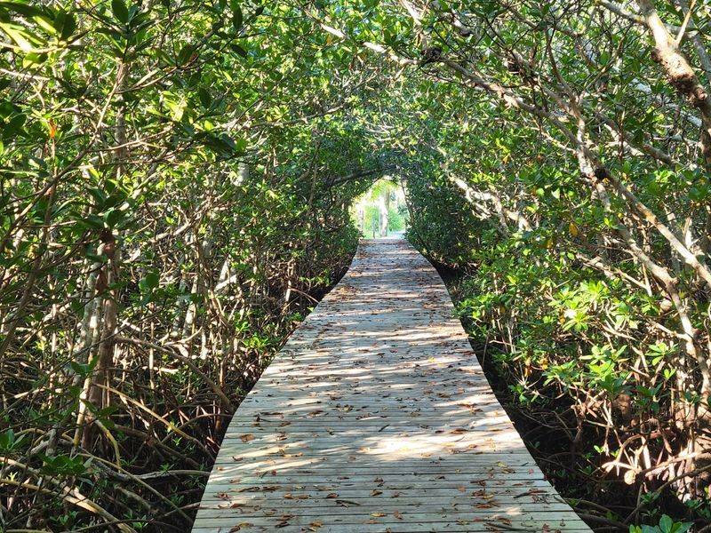 The Trails: Short Loops Through a Protected Ecosystem