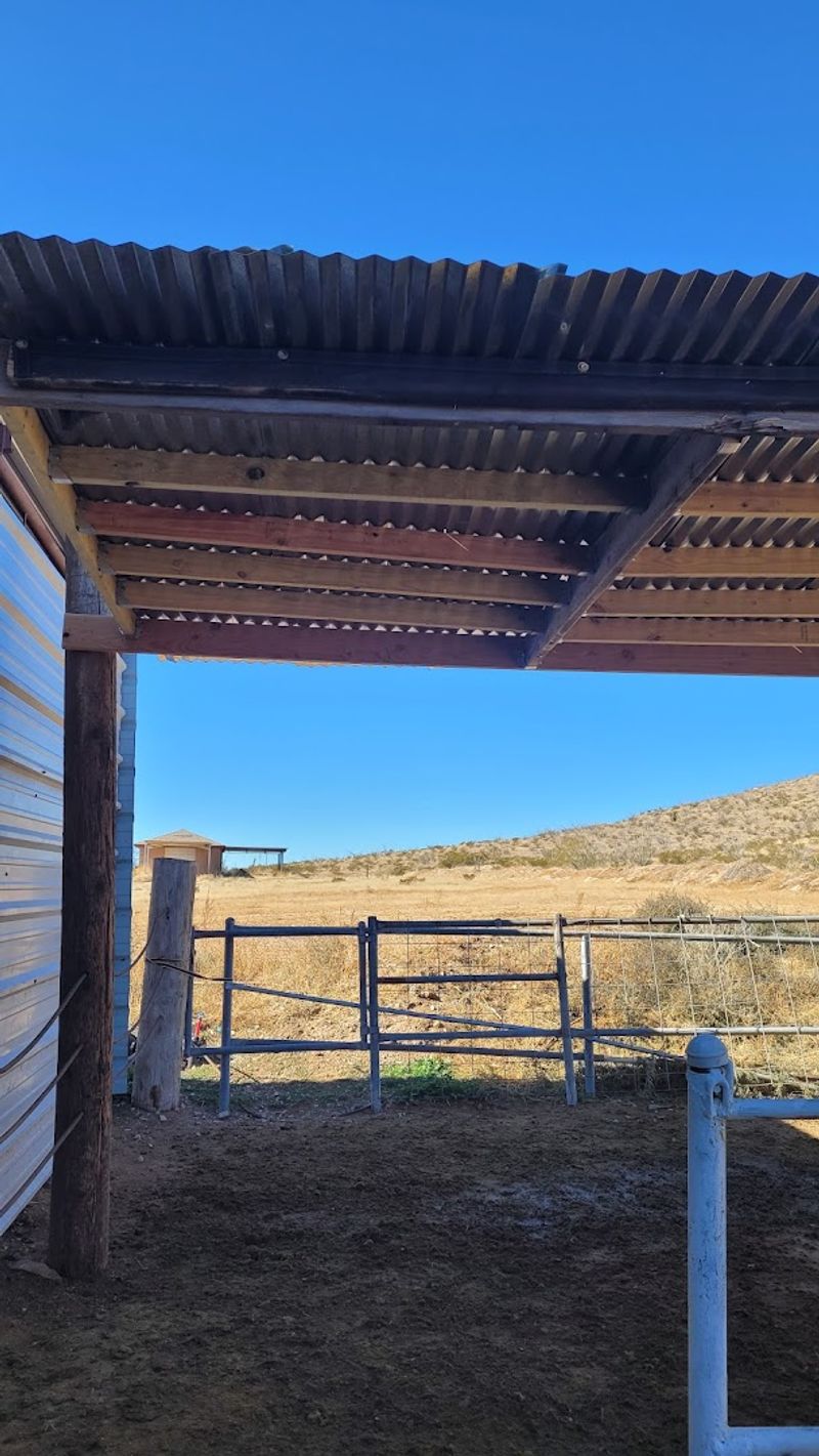 Volunteer Travel Experience