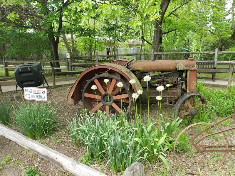 Practical Tips for Making the Most of Your Visit